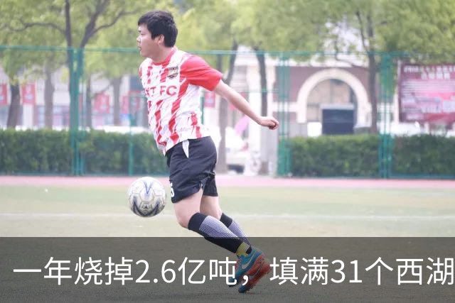 一年烧掉2.6亿吨，填满31个西湖！中国的垃圾，不够烧了？